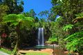 Tree-fern-waterfall-tropical-rain-forest-paradise-21454957.jpg
