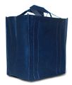 508px-Blue reusable shopping bag.JPG