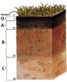 Soil profile.png