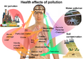 Health effects of pollution.png